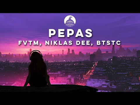 FVTM, Niklas Dee, BTSTC - Pepas (ft. Sergio Ochoa)