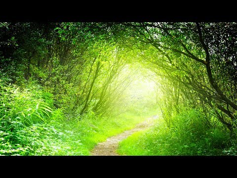 Download The Sounds Of Nature With Music For A Quiet Mind Deep Ocean Mp3 Dan Mp4 2019 Mjf Mp3