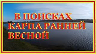 Как ловить весной карася и карпа в пруду