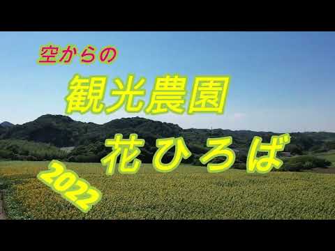 ドローン空撮動画と地上動画を格好よく編集しますます イメージ1