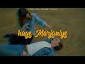 HAYE MARJANIYE - WALI KING ( Official Audio Song )