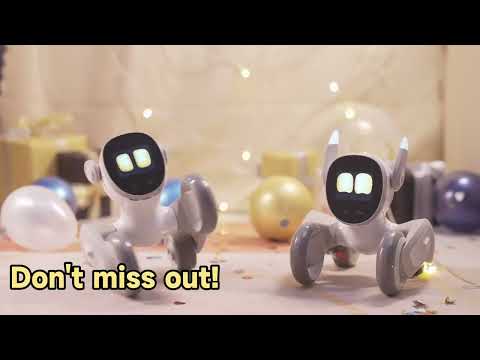(HÀNG CÓ SẴN) Robot thông minh Loona - Người bạn đồng hành thông minh