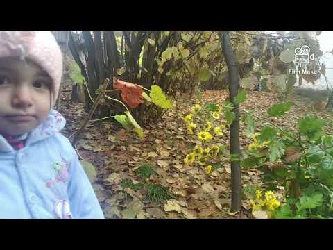 Azərbaycan ana Vətən