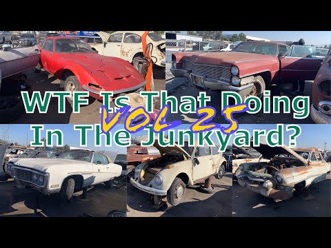 WTF Is That Doing In The Junkyard? Volume 25 - Eleven Car Extravaganza!