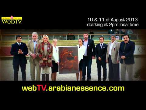 Promo Chantilly 2013