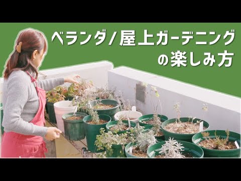 aménagement jardin -spirale-herbes-aromatiques-pierre-naturelle-animaux-acier-corten