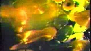 Venom - Witching Hour (Live Combat Tour 1985)