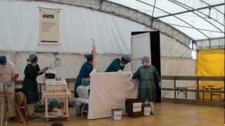 preview picture of video 'Una piccola commedia sanitaria - Sagra AVIS di Bedollo 2012'