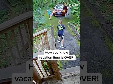 How it feels to go back to work after vacation! 👀 #fails #CCTV #bears  #scare #shorts