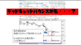 【デッドキャットバウンス？】ウエストホールディングス ストップ安翌日の値動きについて
