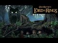 Lord Of The Rings My Cat
