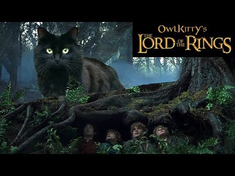 Lord of the Rings + My Cat