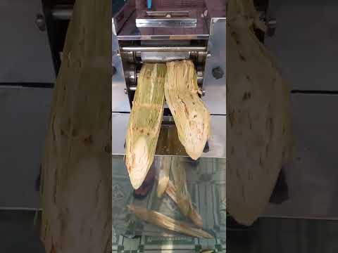 Thử ép nước mía với máy ép kết quả cho ra nước mía siêu sạch