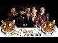 Los tigres del norte mix 2019 (Los mal portados Megamix )_Dj Mc Card! Colombia