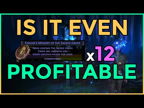 [3.19] Is it profitable #3 - Memory of the Sacred Grove x 12 - 28.8 divine profit