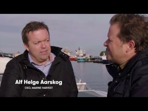 Arnes lunsjprat med Alf Helge Aarskog