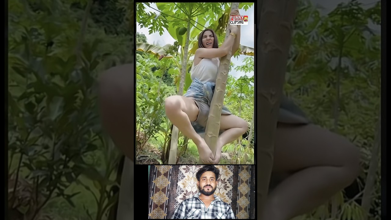 funny 😂😂186 #shorts #funny #shortsfeedFunny