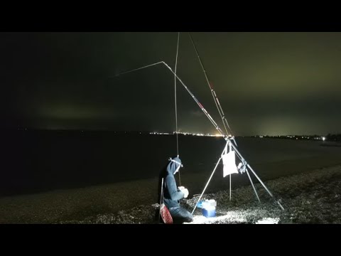 Beach Fishing LIVE TALK SHOW!!