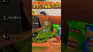 【俺の厳選】世界でバズった動画集🐾Part24