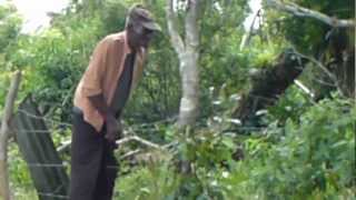 preview picture of video 'My 103 year old grandad in jamaica'