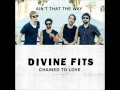 Divine Fits - Ain't That The Way 