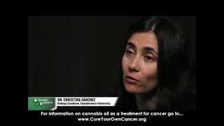 Dr.Christina Sanchez Explains How Cannabis Kills Cancer Cells | Florida Medical Marijuana