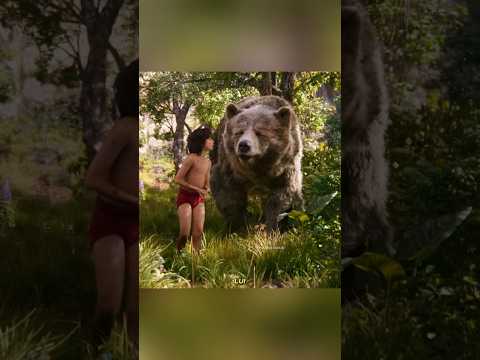 🐻 Mowgli Trahi par son Meilleur Ami ? 😢 | Une Histoire Bouleversante #shorts #shortsfeed #ytshorts