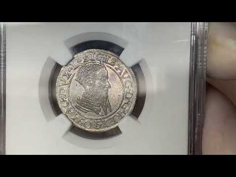 Zygmunt II August, Czworak Wilno 1566 - okazowy