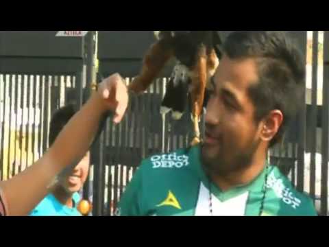 El Color en America vs Leon, J03, C14, Televisa, 18Enero2014