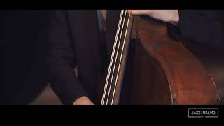 Fredrik Kronkvist on his 10MFAN Daddy-O 6 alto sax mouthpiece. Ballad 4