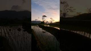 Download lagu dengar adzan maghrib bikin rindu kampung halaman #adzanmerdu #nature #suasanapedesaan mp3 Download lagu dengar adzan maghrib bikin rindu kampung halaman #adzanmerdu #nature #suasanapedesaan mp3