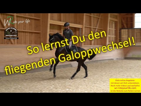 F169 Learning the flying lead change; exercises; mistakes; preparation for the flying lead change