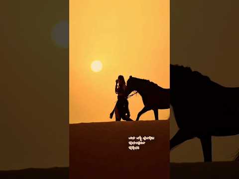 인생노래 | ‘내가 나를 안아주리’ | 이제야 알겠구나 (Life) #국악트로트 #ai노래 #중년감성 #힐링