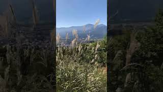 Download lagu 短時間リラックス　長野県の山中の音　その1 mp3