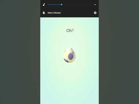 Chocando 9 ovos de 10 Km