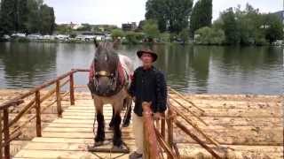 preview picture of video '775 Jahre Miltenberg   Es steht ein Pferd auf dem Floß'