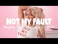 Megan Thee Stallion Not My Fault Verse Lyrics