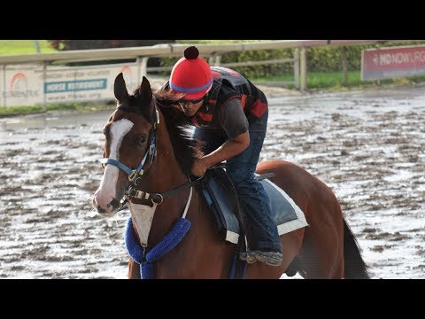 Panzer Barcelona buscará sorprender en la Copa Confraternidad.