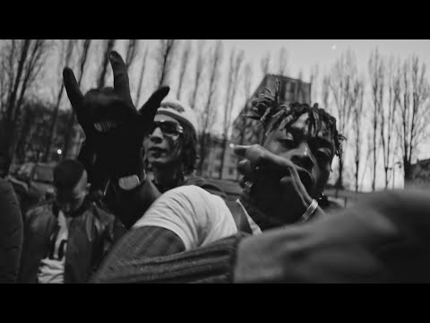 Animus - Kamikaze (prod. by AriBeatz) [distri TV PREMIERE]