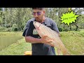 Fishing In Pond Kodagu Nature Madikeri Fish Catching