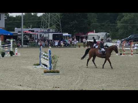 SA Stables ”Sandros Roeschen” 11j by Sandro Boy