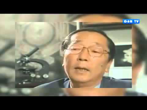 Le message de l'eau de Masaru Emoto