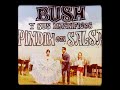 COMPASION  - BUSH Y SUS MAGNIFICOS