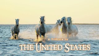 Love the U.S.A. (Official Video) by Composing4you