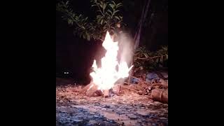 Download lagu Bakar bakaran kayu bakar di depan rumah. Api Unggun Di Malam Hari mp3 Download lagu Bakar bakaran kayu bakar di depan rumah. Api Unggun Di Malam Hari mp3