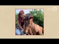 Fa. Milie BV 8 juli 2020 - Familie Braafhart