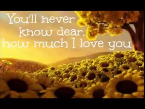 Elizabeth Mitchell - You Are My Sunshine lyrics Video