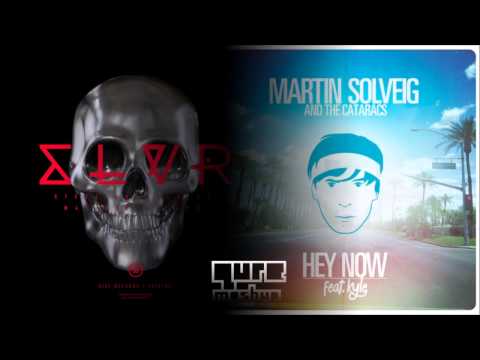 Steve Angello vs. Matisse & Sadko feat. Martin Solveig - Hey SLVR (Qure Mashup)