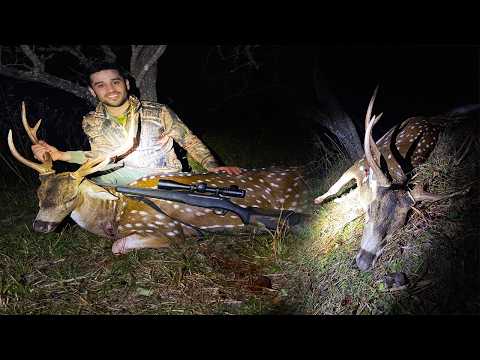 AXIS DEER HUNTING with a 308 RIFLE - HUNTING in ENTRE RÍOS - BIG GAME HUNTING