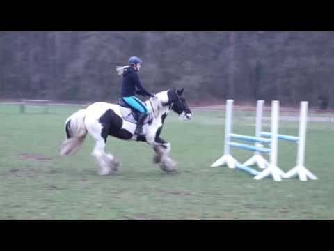 Springstunde 24.03.2017 in Thönse